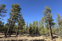 Homesite for sale in Coconino County, Arizona