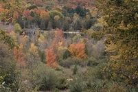 Land for sale in Antrim County, Michigan