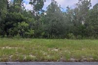 Undeveloped Land for sale in Marion County, Florida