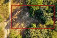 Undeveloped Land for sale in Marion County, Florida