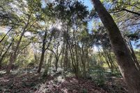 Land for sale in Thomas County, Georgia