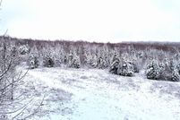 Land for sale in Franklin County, New York