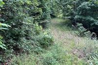 Land for sale in Union County, Georgia