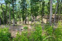 Undeveloped Land for sale in Fannin County, Georgia