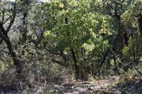 Land for sale in Johnson County, Texas