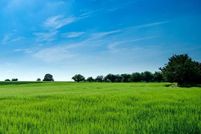 Farm and Ranch for sale in Cape May County, New Jersey