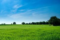 Land for sale in Cape May County, New Jersey