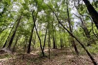 Timberland Property for sale in Clarke County, Alabama