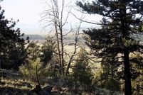 Timberland Property for sale in Park County, Colorado