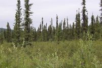 Land for sale in Fairbanks North Star Borough, Alaska