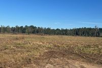 Land for sale in Beauregard Parish, Louisiana