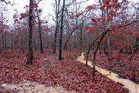 Land for sale in Lamar County, Texas