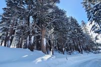 Land for sale in Alpine County, California