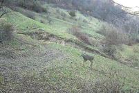 Undeveloped Land for sale in Grant County, Wisconsin