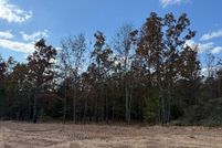 Undeveloped Land for sale in Faulkner County, Arkansas