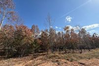 Undeveloped Land for sale in Faulkner County, Arkansas