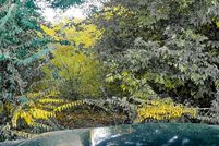 Undeveloped Land for sale in Calcasieu Parish, Louisiana