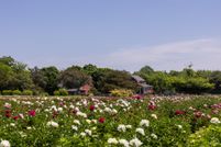 Farm and Ranch for sale in Cape May County, New Jersey