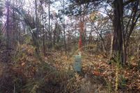 Land for sale in Stone County, Arkansas