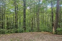Land for sale in Blount County, Tennessee