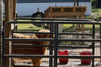 Land for sale in Beaufort County, South Carolina