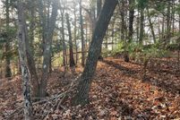 Homesite for sale in Gilmer County, Georgia