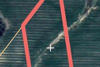 Land for sale in Geneva County, Alabama