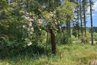 Farm and Ranch for sale in Del Norte County, California