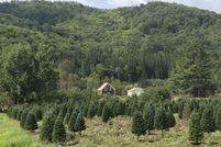 Farm and Ranch for sale in Coos County, New Hampshire