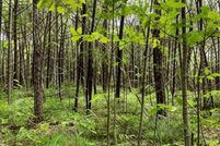 Recreational Property for sale in Saint Charles County, Missouri