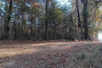 Undeveloped Land for sale in Scott County, Arkansas
