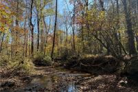 Land for sale in Lee County, Alabama