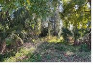 Land for sale in Hendry County, Florida