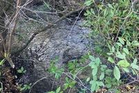 Undeveloped Land for sale in Calhoun County, Florida