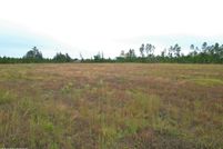 Undeveloped Land for sale in Jackson County, Florida