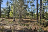 Undeveloped Land for sale in Washington County, Florida