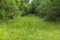 Land for sale in Washington County, Florida