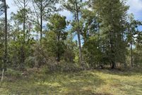 Undeveloped Land for sale in Jackson County, Florida