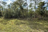 Undeveloped Land for sale in Jackson County, Florida
