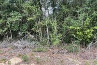 Undeveloped Land for sale in Washington County, Florida