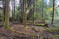 Land for sale in Pacific County, Washington