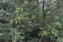 Undeveloped Land for sale in Jackson County, Florida