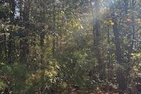 Undeveloped Land for sale in Harris County, Georgia