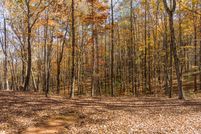Land for sale in Gilmer County, Georgia