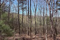 Land for sale in Gilmer County, Georgia