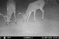 Land for sale in Brown County, Texas