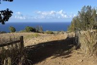 Undeveloped Land for sale in Hawaii County, Hawaii