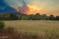 Undeveloped Land for sale in Meigs County, Tennessee