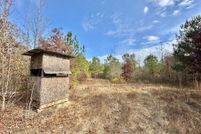 Undeveloped Land for sale in Attala County, Mississippi