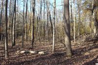 Waterfront Property for sale in Lyon County, Kentucky